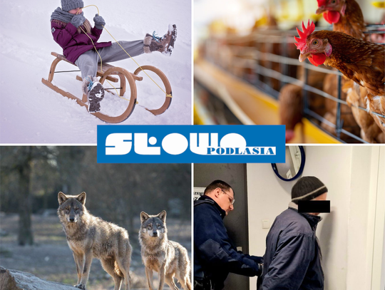 Przegląd informacji z 16 stycznia 2026. Biała Podlaska, Międzyrzec Podlaski, Łosice, Parczew