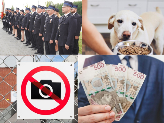 Przegląd informacji z 19 i 20 lipca. Biała Podlaska, Międzyrzec Podlaski, Radzyń Podlaski, Terespol