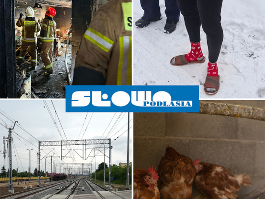 Przegląd informacji z 21 i 22 lutego 2026. Biała Podlaska, Międzyrzec Podlaski, Łosice, Parczew
