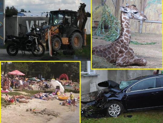 Przegląd informacji z 22 lipca 2025. Biała Podlaska, Międzyrzec Podlaski, Radzyń Podlaski, Terespol