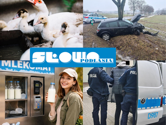 Przegląd informacji z 23 lutego 2026. Biała Podlaska, Międzyrzec Podlaski, Łosice, Parczew