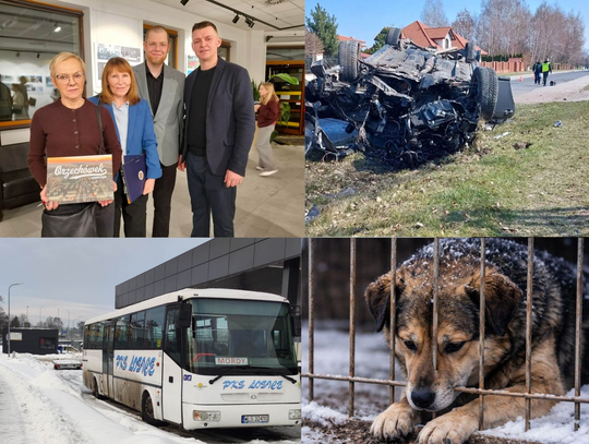 Przegląd informacji z 23 stycznia 2026. Biała Podlaska, Międzyrzec Podlaski, Łosice, Parczew