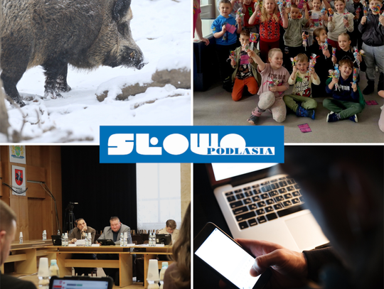 Przegląd informacji z 26 lutego 2026. Biała Podlaska, Międzyrzec Podlaski, Łosice, Parczew