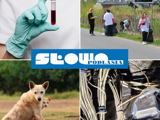 Przegląd informacji z 27 kwietnia 2026. Biała Podlaska, Międzyrzec Podlaski, Łosice, Parczew