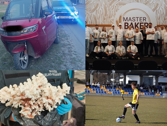 Przegląd informacji z 28 i 29 marca 2026. Biała Podlaska, Międzyrzec Podlaski, Łosice