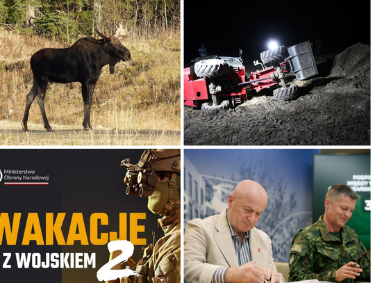 Przegląd informacji z 29 maja 2025. Biała Podlaska, Międzyrzec Podlaski, Radzyń Podlaski, Łosice, Terespol