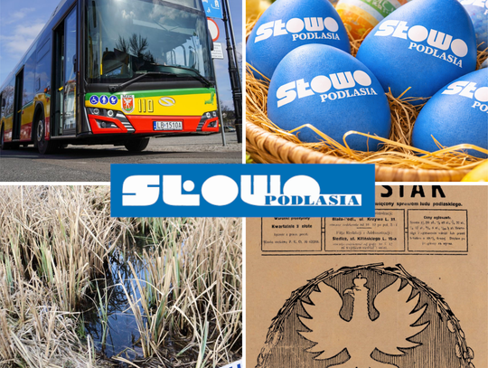 Przegląd informacji z 4 i 5 kwietnia 2026. Biała Podlaska, Międzyrzec Podlaski, Łosice, Radzyń Podlaski, Parczew Przegląd informacji z 4 i 5 kwietnia 2026. Biała Podlaska, Międzyrzec Podlaski, Łosice, Radzyń Podlaski, Parczew