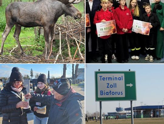 Przegląd informacji z 4 listopada 2025. Biała Podlaska, Międzyrzec Podlaski, Radzyń Podlaski, Łosice