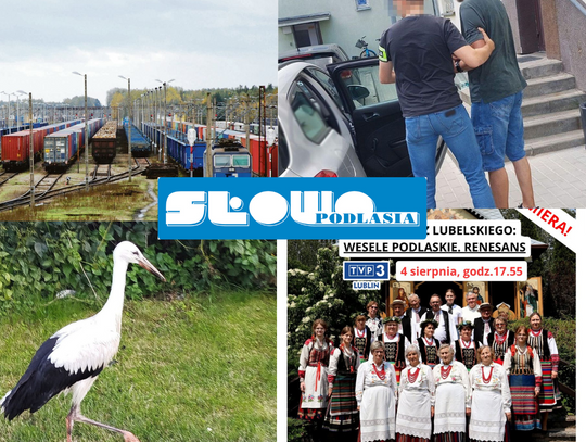 Przegląd informacji z 4 sierpnia 2025. Biała Podlaska, Międzyrzec Podlaski, Radzyń Podlaski, Terespol