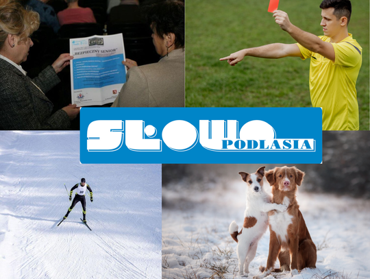 Przegląd informacji z 6 lutego 2026. Biała Podlaska, Międzyrzec Podlaski, Łosice, Parczew