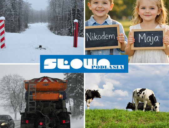 Przegląd informacji z 9 lutego 2026. Biała Podlaska, Międzyrzec Podlaski, Łosice, Parczew