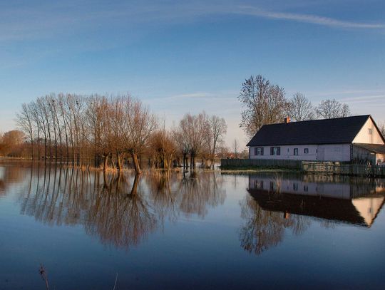 Przekroczone stany wód na Krznie i Bugu . IMGW wydało ostrzeżenia III st.