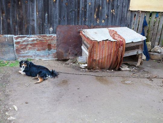 Nie każdemu podoba się nowe prawo