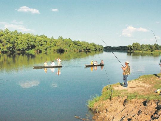 Radny do marszałka: Wprowadźmy bon turystyczny