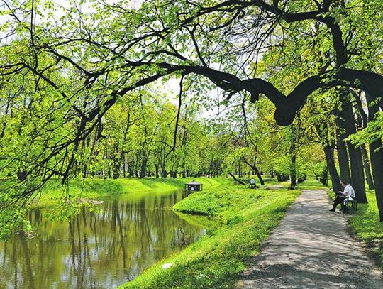 Radzyń Podlaski: Bo w parku ma być Wersal