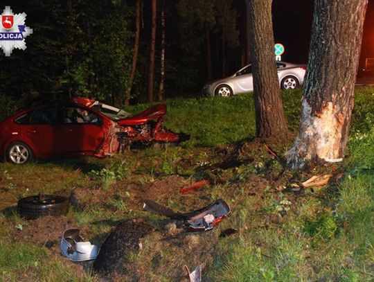 Radzyń Podlaski: Łoś wyskoczył, samochód uderzył w drzewo