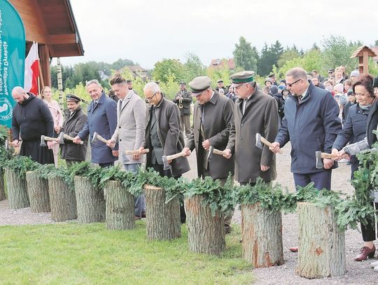 Radzyń Podlaski: Przecięli siekierami jodłowe gałązki i ogród stanął otworem