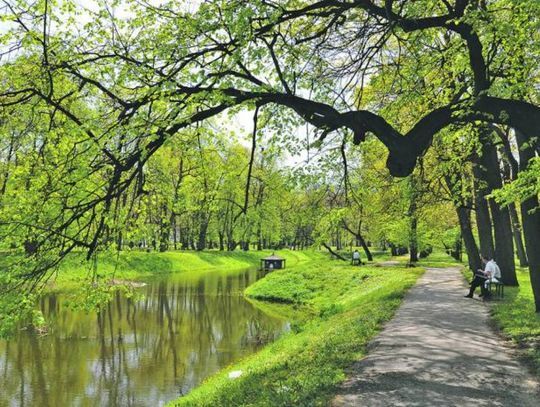 RADZYŃ PODLASKI: Przetarg na park do powtórki