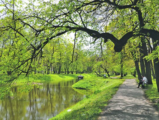 Radzyński park jeszcze poczeka na lifting