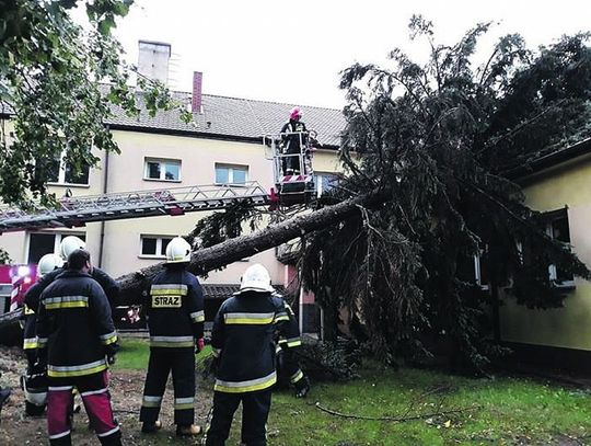 Raport: Nawałnica wyrywała drzewa i zrywała dachy