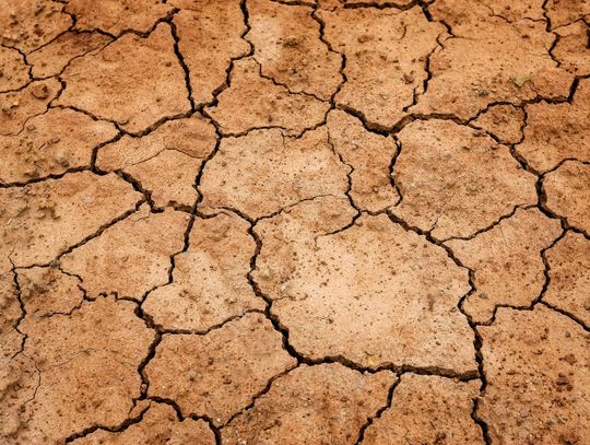 Raport: Ziemia sucha jak pieprz, deszczu wciąż za mało