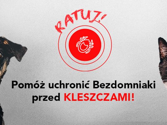 Ratuj bezdomne zwierzaki z Białej Podlaskiej przed groźnymi kleszczami