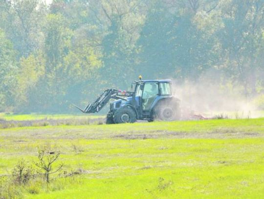 Region: Termin składania wniosków suszowych wydłużony