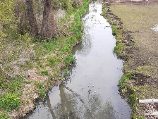 Region: Winne ścieki z zakładowej oczyszczalni