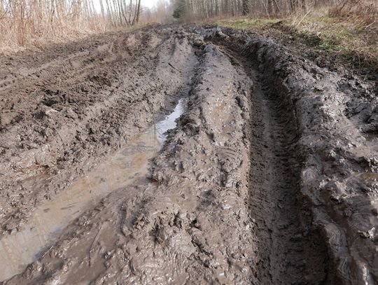 Region: Wojewoda ma pomóc w sprawie dróg [ZDJĘCIA]