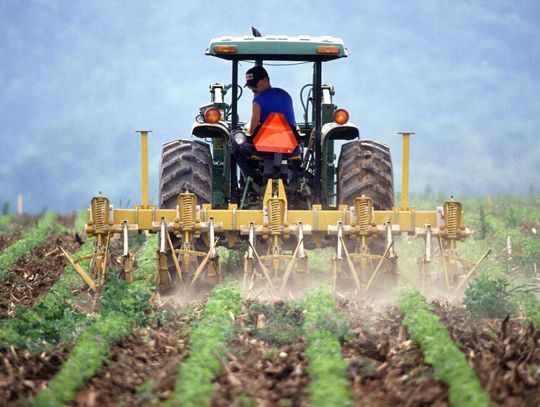 Rolnictwo: Znamy wysokość dopłat bezpośrednich 2021