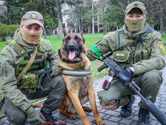 Rosjanie porzucili psa. Teraz walczy po stronie Ukrainy