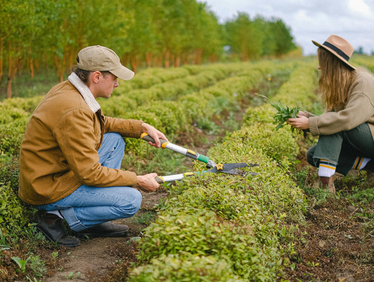 Dziś w Polsce zarobimy prawie tyle samo