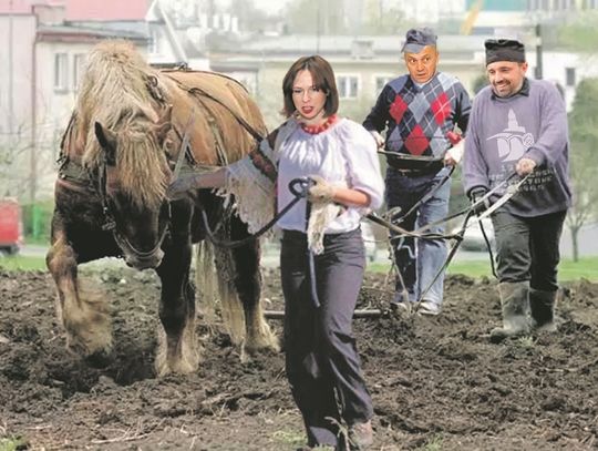 Samozaoranie magistratu