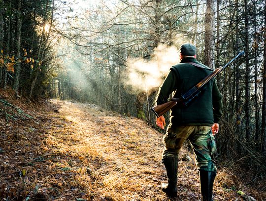 Sejm zdecydował - myśliwy może strzelać bez badań lekarskich
