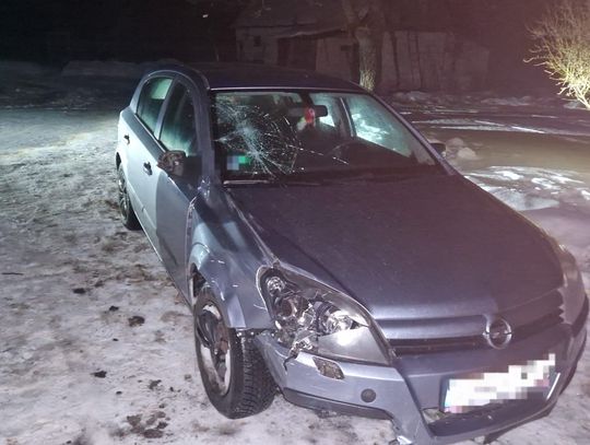 LUBELSKIE: Śmierć na poboczu drogi. Sprawca uciekł z miejsca wypadku