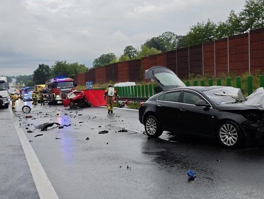 Śmierć w korytarzu życia. Nigdy nie rób tego, co ten kierowca