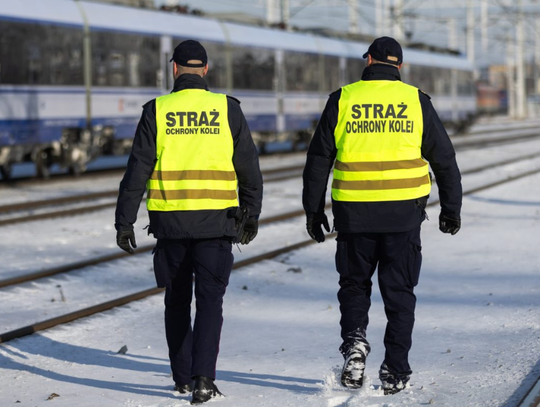 SOK poszukuje sokistów. Można zarobić 8 tysięcy złotych