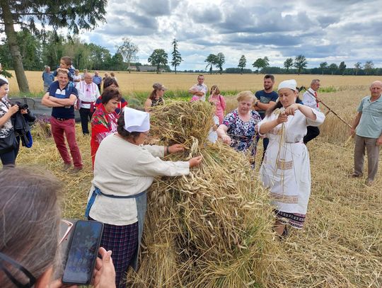 Studzianka: pokazali, jak się kiedyś wyglądały żniwa