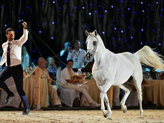 Sukces aukcji Pride of Poland [GALERIA ZDJĘĆ]