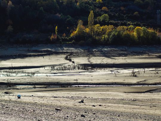 Susza hydrologiczna pustoszy rzeki. Historycznie niskie stany wód w regionie