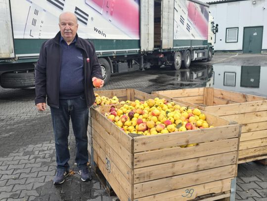 Susza i przymrozki pustoszą północną Lubelszczyznę