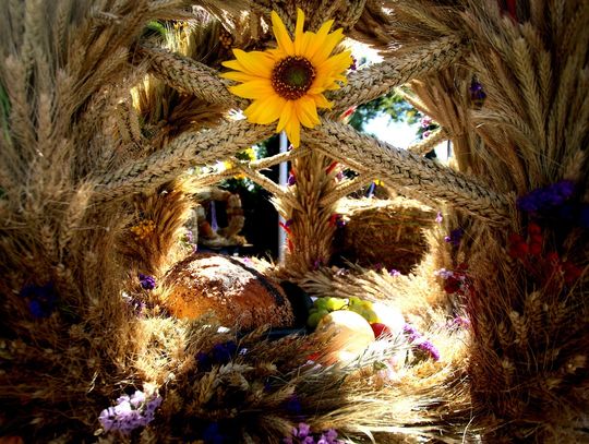 Święto plonów i tradycji w Starej Kornicy