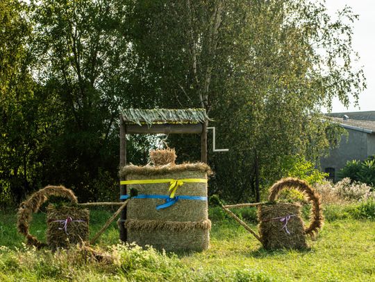 Święto plonów powiatu łosickiego w Sarnakach. Gwiazdami Extazy, Dejw i Leszcze