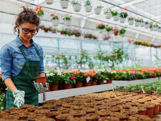 Szukasz legalnej pracy w Holandii? Oferty już na Ciebie czekają!