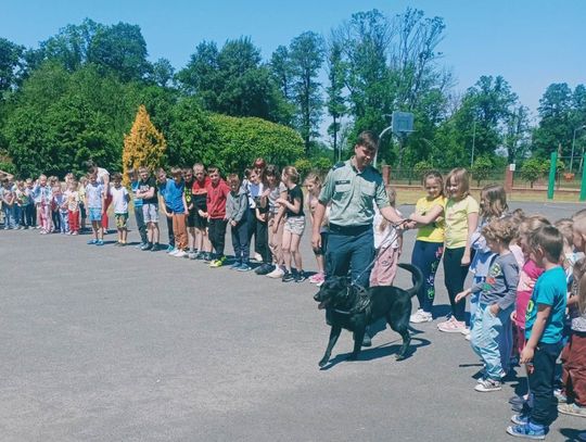 Ten pies zaskarbił miłość uczniów. Nie bez powodu [ZDJĘCIA]
