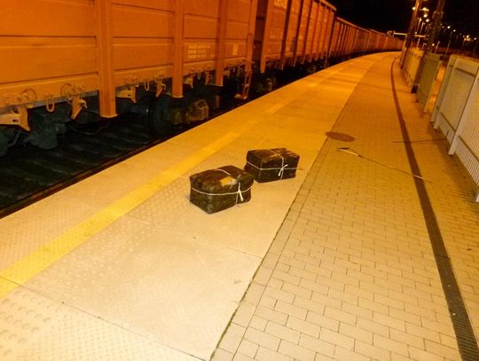 nielegalne papierosy, Terespol, listopad 2025