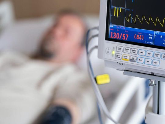 To wibrioza tak wszystkich przestraszyła. A było podejrzenie cholery