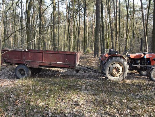 Tragiczny wypadek w lesie. 58-latek zginął podczas wycinki drzew