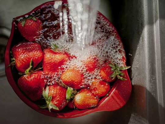 Truskawki dużo droższe niż rok temu. Jaki będzie ten sezon?