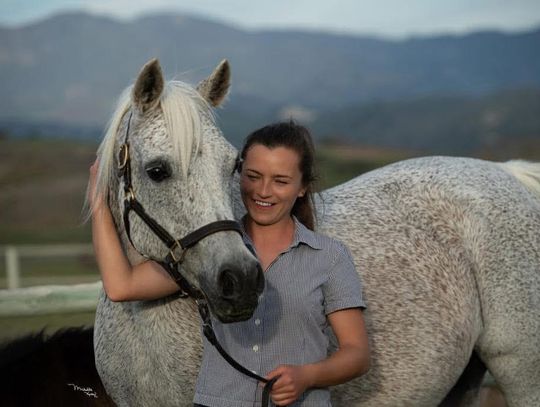 Trwają przygotowania do aukcji w Janowie Podlaskim